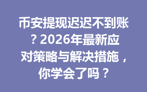 币安提现迟迟不到账?2026年最新应对策略与解决措施,你学会了吗?