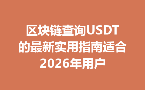 区块链查询USDT的最新实用指南适合2026年用户
