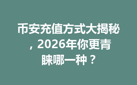 币安充值方式大揭秘,2026年你更青睐哪一种?