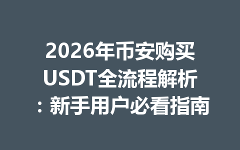 2026年币安购买USDT全流程解析：新手用户必看指南