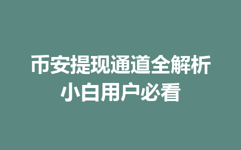 币安提现通道全解析小白用户必看